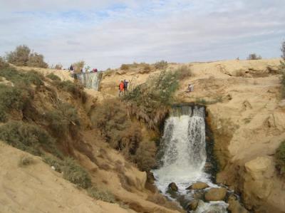 Passeio de dia para Oasis de Fayum e Wadi El Rayan.